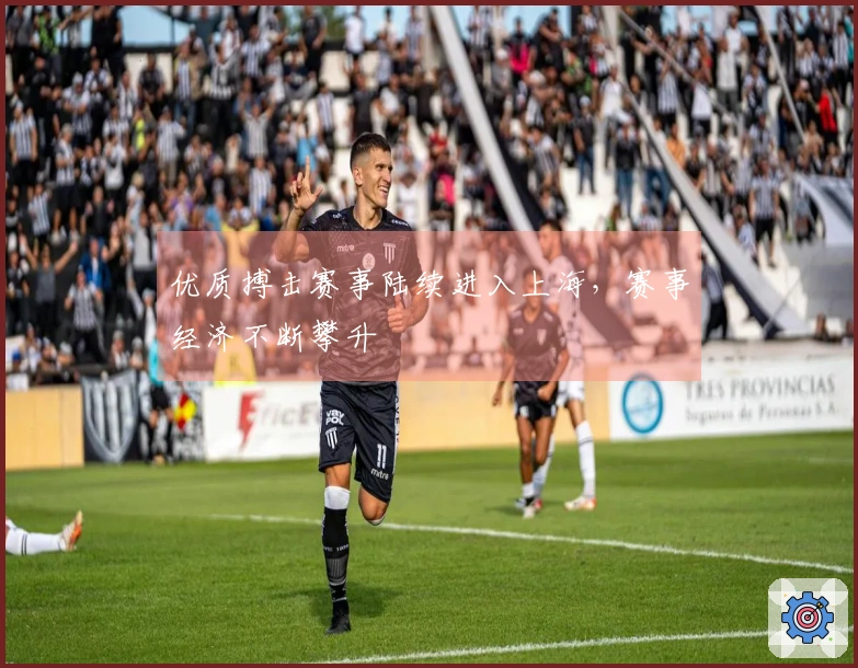 优质搏击赛事陆续进入上海，赛事经济不断攀升