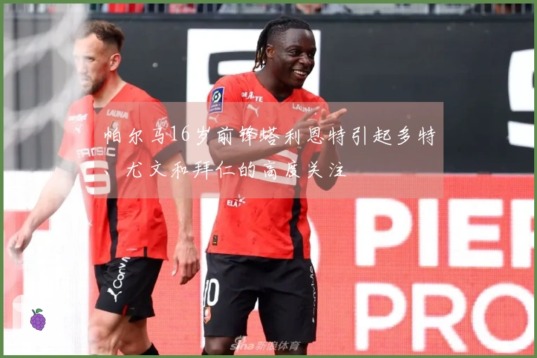 帕尔马16岁前锋塔利恩特引起多特、尤文和拜仁的高度关注