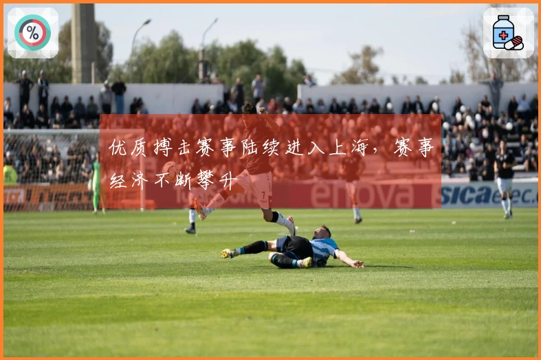 优质搏击赛事陆续进入上海，赛事经济不断攀升